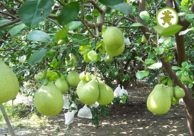 �i�����j�¨��她 20 ���